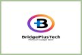 BridgePlus Manual